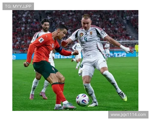 主流足球赛事（足球知名赛事）sports